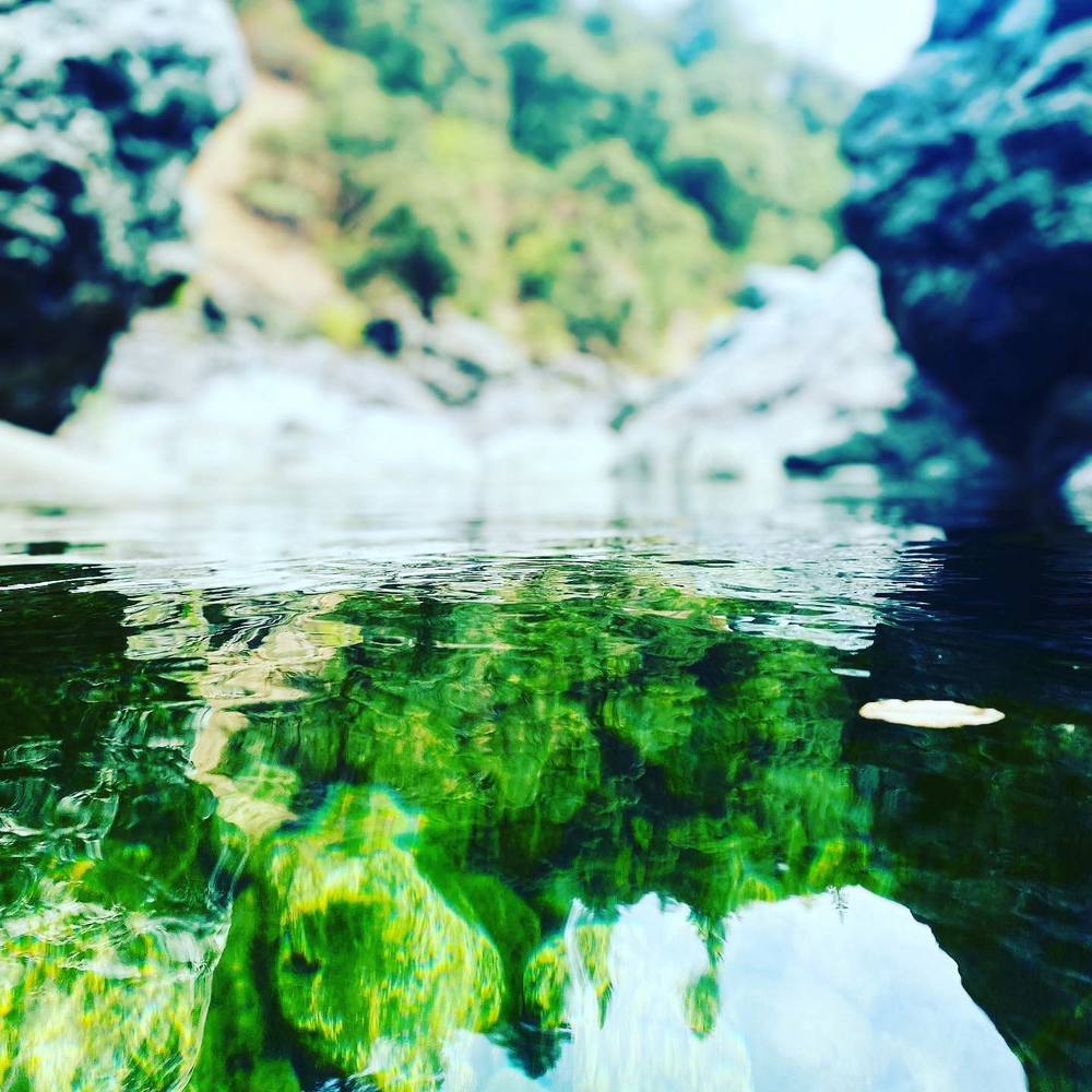 Meet your Posher, Brandy